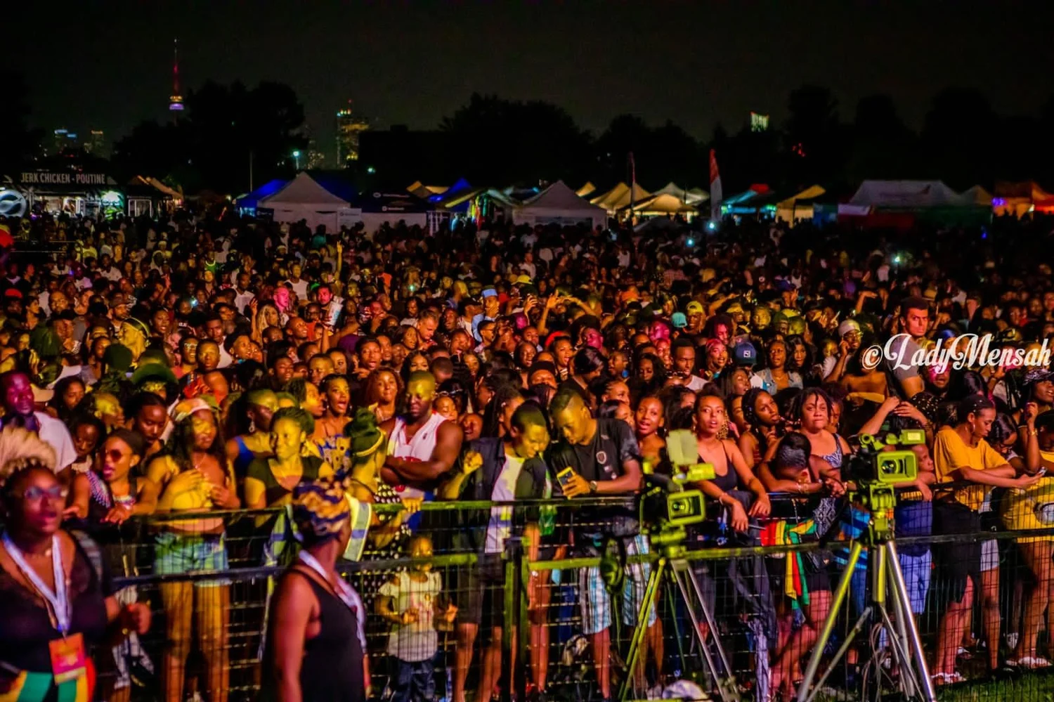 Community members gathering at AfroFest Toronto, celebrating African culture and music